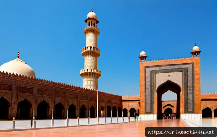 پالتو کیڑوں کی مارکیٹ کو کیسے سمجھیں: طلب، ابتدائی لاگت اور بریڈنگ سیٹ اپ کے انتخاب 4 곤충 애완 시장 분석 관련 이미지 2